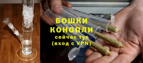 твердый Алзамай